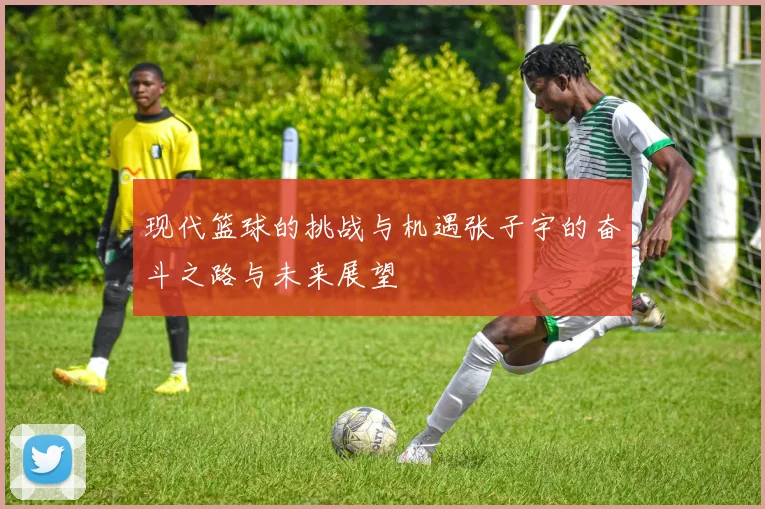 现代篮球的挑战与机遇张子宇的奋斗之路与未来展望