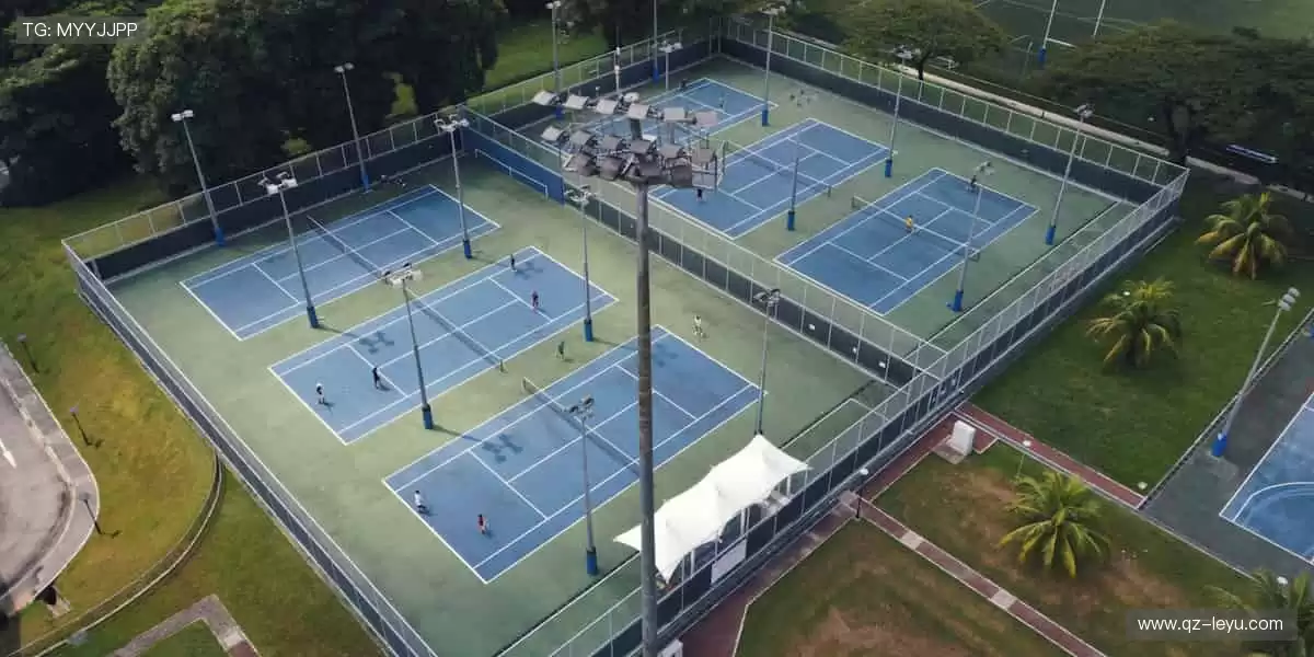 🎯 专业装备，助力突破极限！💪 每一次挥拍，都是精准的胜利！